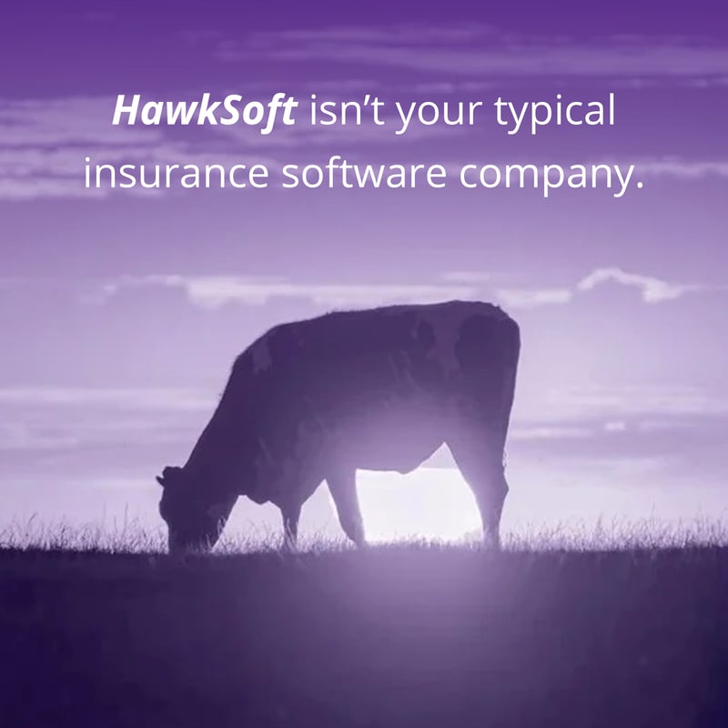 cow-1